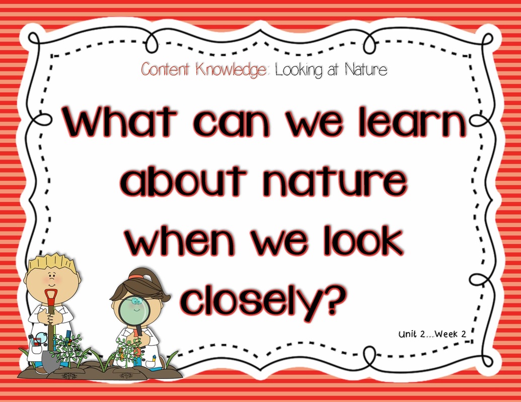 nature-spy-mr-muise-s-kindergarten-class